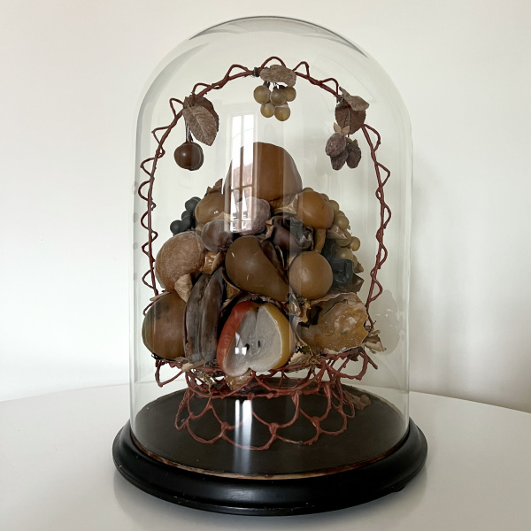A large Victorian waxed fruit display in an impressive glass dome    image