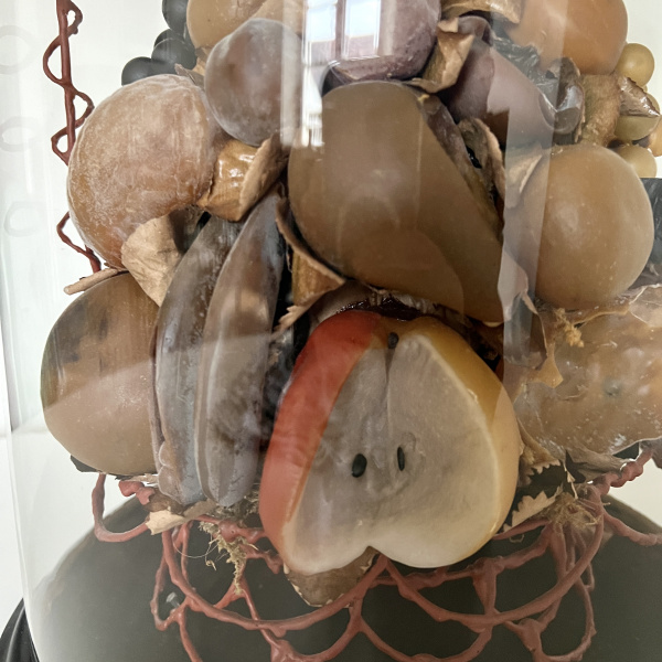 A large Victorian waxed fruit display in an impressive glass dome    image