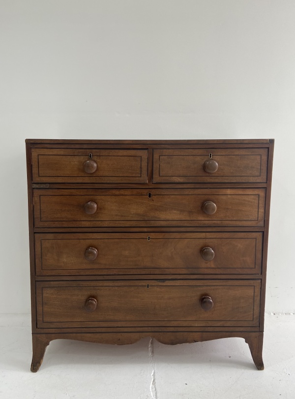 Ebony lined large Regency chest of drawers  image